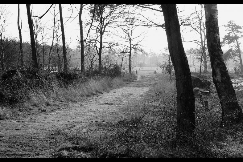 Den Treek Amersfoort Holland